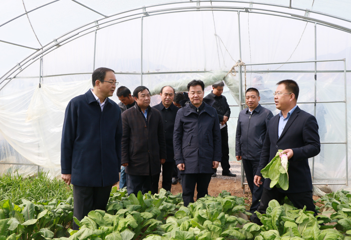 张世珍一行先后深入太石镇,辛店镇,甘肃聚春园福定产业发展公司,临洮