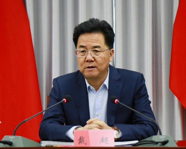 戴超主持召开全市铁路机场项目推进情况汇报会 - 定西市人民政府