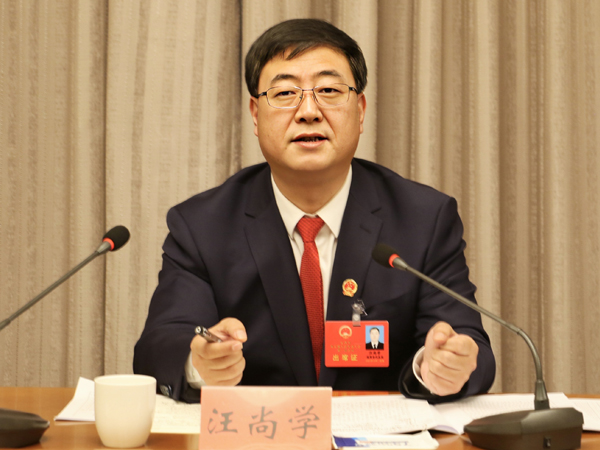 汪尚学参加通渭县代表团审议