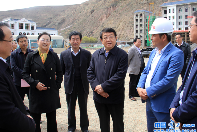 定西市重点项目观摩团在岷县观摩