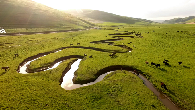 美丽的岷县狼渡滩湿地
